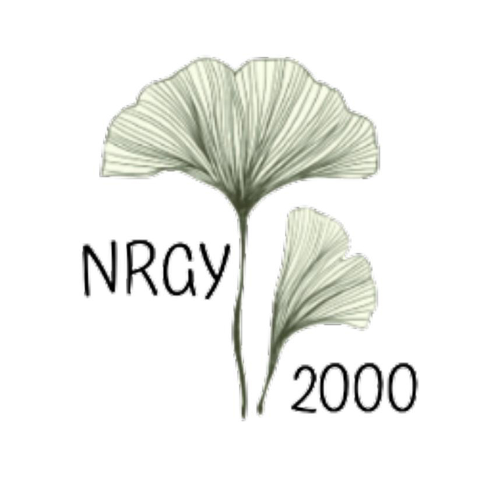 NRGY2000