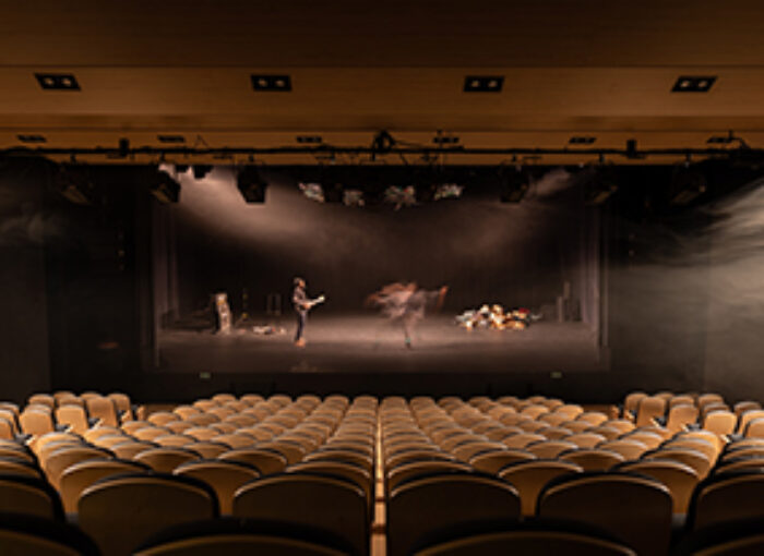 Salle de spectacle - Le Carreau du Temple